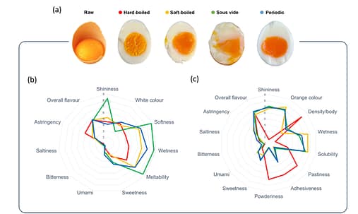 mejor forma de cocer un huevo NO HAY EXCUSAS